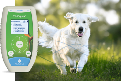 VitaZapper Bioresonanz Frequenzen für Tiere Hund und Katze